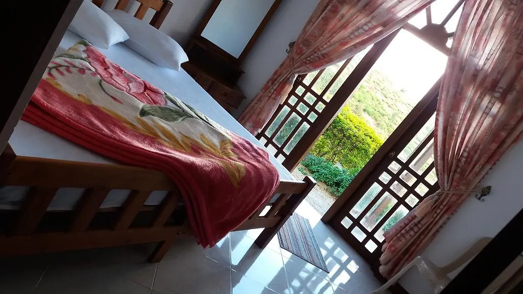 Black Wood Villa-1