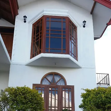 Black Wood Villa-2
