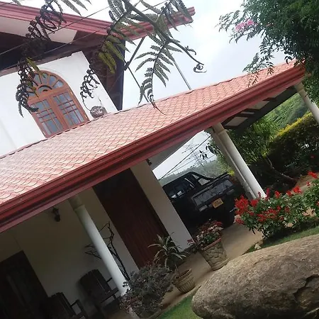 Black Wood Villa-3